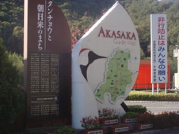 akasaka.jpg